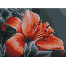 Картина по номерам с цветной схемой на холсте Molly KK0669 Оранжевая лилия 30х40 см