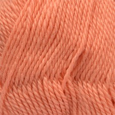 Пряжа для вязания КАМТ Аргентинская шерсть (100% импортная п/т шерсть) 10х100г/200м цв.037 персик