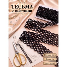 Тесьма с пайетками TBY.6303 ш.60мм цв.черный уп.2м