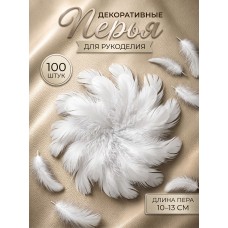 Перья для рукоделия декоративные TBY.F01 цв.белый уп.100шт