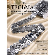 Тесьма с пайетками на резинке 6мм TBY-F07 цв.серебро уп.2м