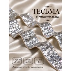 Тесьма с пайетками TBY.6365 ш.30мм цв.серебро уп.2м