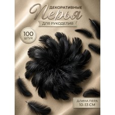 Перья для рукоделия декоративные TBY.F01 цв.черный уп.100шт