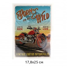 Термотрансфер TBY.1282 Born to be wild 17,8х25см, уп.10шт