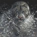 Алмазная мозаика 30х30 Тигр. Без подрамника