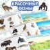 Книга с наклейками «Маленькие зверята», 100 наклеек