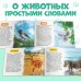 Обучающие книжки набор 6 шт. «Узнаём про всё вокруг», 108 животных и птиц