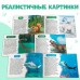 Обучающие книжки набор 6 шт. «Узнаём про всё вокруг», 108 животных и птиц