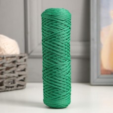 Шнур для вязания Классика 100% полиэфир 3мм 100м (221 св.зеленый)