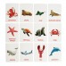 Развивающий набор с карточками «Водные животные», по методике Домана