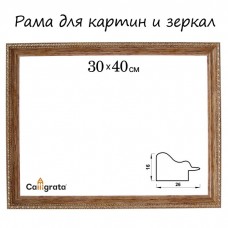 Рама для картин (зеркал) 30 х 40 х 2,6 см, пластиковая, Calligrata 6429, дерево с золотом