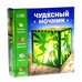 Набор для творчества «Чудесный ночник: фея»