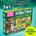 Обучающий набор «Животные нашей планеты», мини-энциклопедия и пазл, 88 элементов