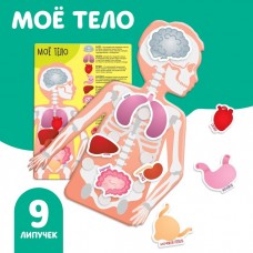 Игра на липучках «Моё тело», анатомия