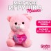 Мягкая игрушка «Космос - это ты!», медведь, цвета МИКС