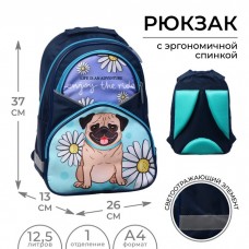 Рюкзак школьный, 37 х 26 х 13 см, эргономичная спинка, Calligrata АН Бульдожка
