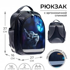 Рюкзак школьный, 37 х 27 х 16 см, эргономичная спинка, Calligrata Б Котик