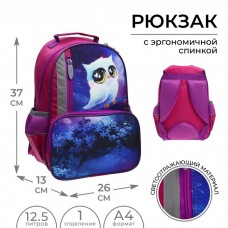 Рюкзак школьный, 37 х 26 х 13 см, эргономичная спинка, Calligrata ОРТ Совушка