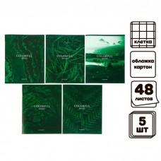 Комплект тетрадей из 5 штук, 48 листов в клетку Calligrata Изумруд, обложка мелованный картон, блок N2, белизна 75% (серые листы)