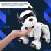 Робот собака «Тобби» IQ BOT, программируемый, интерактивный: звук, свет, сенсорный, на аккумуляторе