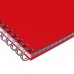 Тетрадь на гребне A5 48 листов в клетку Calligrata Красная, пластиковая обложка, блок офсет