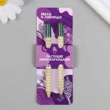 Растущие подарочные карандаши mini Мята и Лавада набор 2 шт