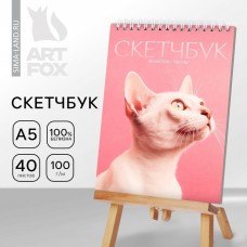 Скетчбук А5, 40 л 100 г/м2 «Кошка»