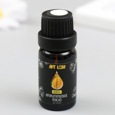 Ароматическое масло для свечей Манго 10 мл 2,5х2,5х6,3 см