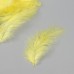 Перо декоративное гусиное пуховое Жёлтое набор 40 шт h=10-15 см