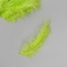 Перо декоративное гусиное пуховое Ярко-зелёное набор 40 шт h=10-15 см