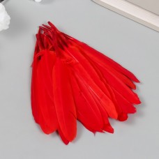 Перо декоративное гусиное Красное набор 30 шт h=10-12 см
