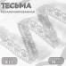 Тесьма декоративная, металлизированная, 10 +- 1 м, 20 мм, цвет серебряный