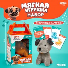 Обучающие карточки с мягкой игрушкой «Собака», цвет МИКС