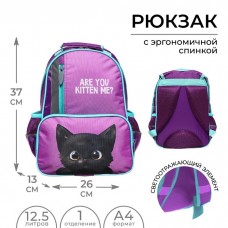 Рюкзак школьный, 37 х 26 х 13 см, эргономичная спинка, Calligrata ОРТ Котик черный