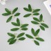 Искусственное растение для творчества Листья черёмухи набор 6 шт 13,5х16 см