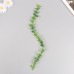 Искусственное растение для творчества Лиана из листьев эвкалипта набор 6 шт 39 см