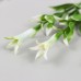 Искусственное растение для творчества Гиппеастриум набор 6 шт бело-зелёный 11,5 см