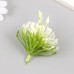 Искусственное растение для творчества Вязель набор 5 шт 9х6х6 см