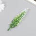 Искусственное растение для творчества Луговой цветок набор 12 шт белый 13 см