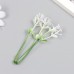 Искусственное растение для творчества Чистотел набор 12 шт белый 9 см