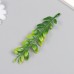 Искусственное растение для творчества Хойя набор 12 шт 14,5 см