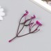 Искусственное растение для творчества Цикорий набор 8 шт фуксия 10 см