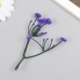 Искусственное растение для творчества Цикорий набор 8 шт фиолетовый 10 см