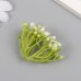 Искусственное растение для творчества Вязель набор 12 шт 3,8 см