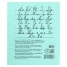 Комплект тетрадей из 20 штук, 12 листов в линию Маяк Зелёная обложка, 60 г/м2, блок офсет, белизна 90-99%